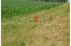 Property photo 1 - 51.5 Acres Offered in 5 tracts, 2 Farm Sites